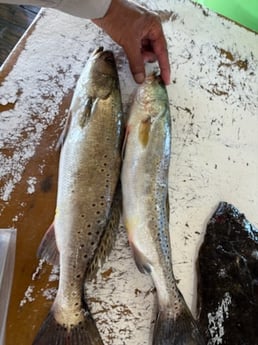 Fishing in Slidell, Louisiana