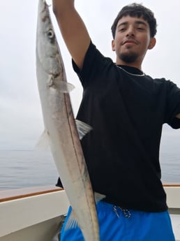 Fishing in Dana Point, California