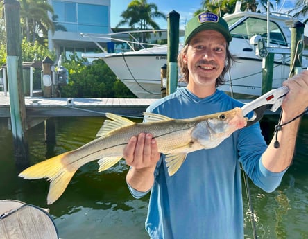 Snook Fishing in Sarasota, Florida