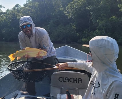 Golden Trout fishing in Broken Bow, Oklahoma