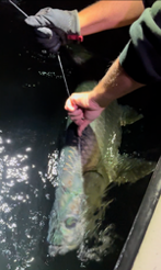 Fishing in Fort Lauderdale, Florida
