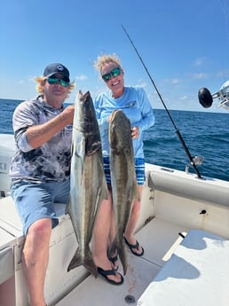 Fishing in Sarasota, Florida