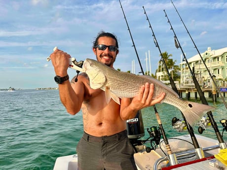 Redfish Fishing in Sarasota, Florida