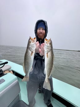 Speckled Trout Fishing in Key West, Florida