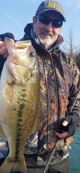 Fishing in Branson, Missouri