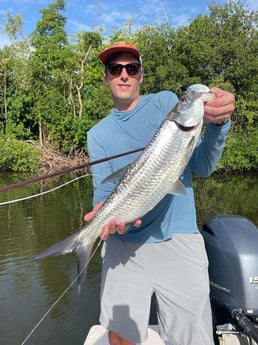 Tarpon Fishing in Carolina, Carolina