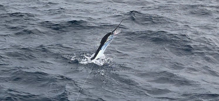 Fishing in Virginia Beach, Virginia