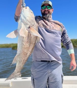 Black Drum Fishing in Delacroix, Louisiana
