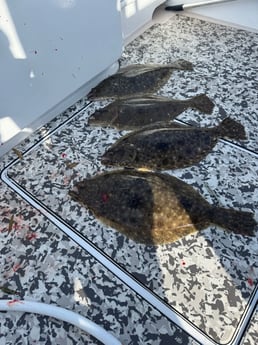 Fishing in Hatteras, North Carolina