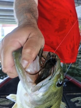 Fishing in Alba, Texas