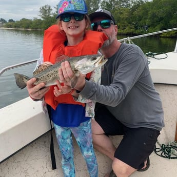 Speckled Trout / Spotted Seatrout Fishing in Melbourne, Florida
