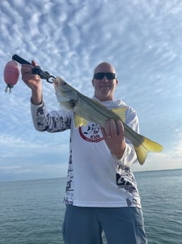 Snook Fishing in Sarasota, Florida