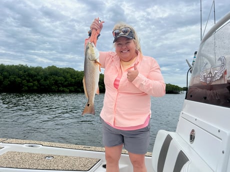 Redfish Fishing in Crystal River, Florida
