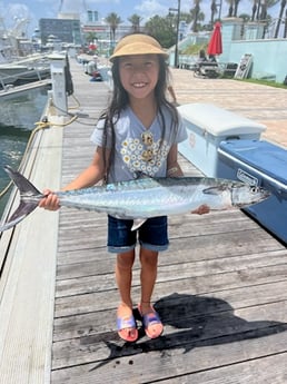 Kingfish Fishing in West Palm Beach, Florida