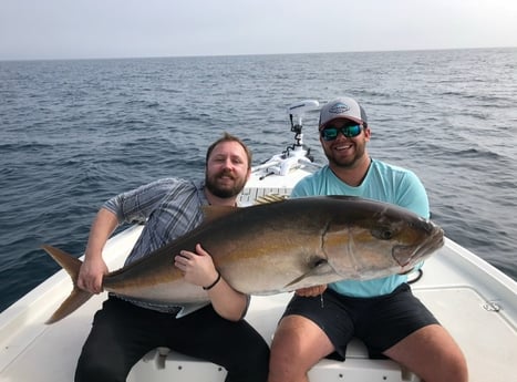 Amberjack Fishing in Holmes Beach, Florida