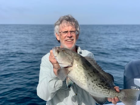 Gag Grouper fishing in Wilmington, North Carolina