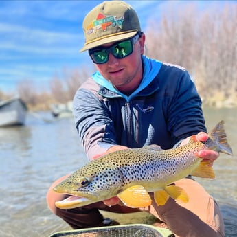 Fishing in Sheridan, Montana