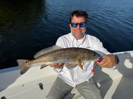 Fishing in St. Petersburg, Florida
