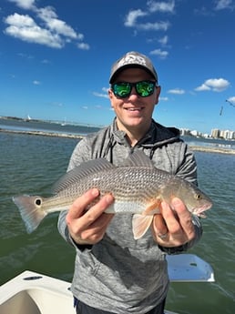 Fishing in Sarasota, Florida