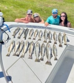 Speckled Trout / Spotted Seatrout fishing in Manteo, North Carolina