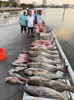 Fishing in Clearwater, Florida