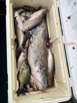 Fishing in Jasper, Texas