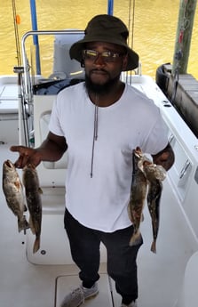 Speckled Trout / Spotted Seatrout fishing in Saint Bernard, Louisiana