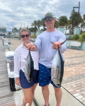 Blackfin Tuna Fishing in West Palm Beach, Florida