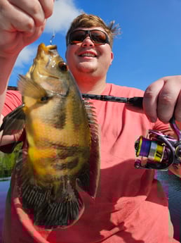 Fishing in Fort Lauderdale, Florida