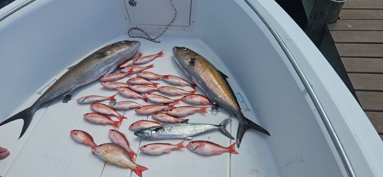 Fishing in Santa Rosa Beach, Florida