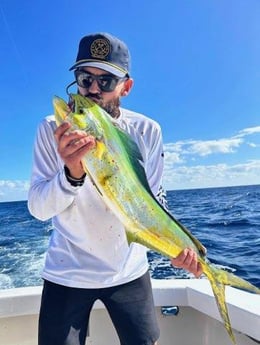 Mahi Mahi Fishing in Pompano Beach, Florida