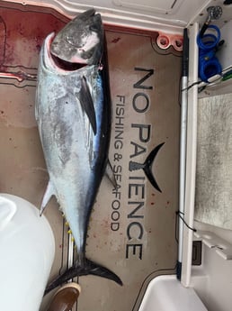 Fishing in San Diego, California