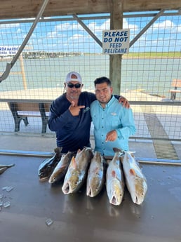 Flounder, Redfish Fishing in Matagorda, Texas