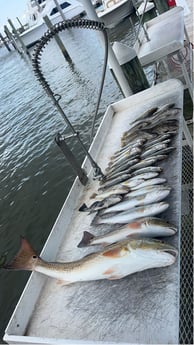 Fishing in Biloxi, Mississippi