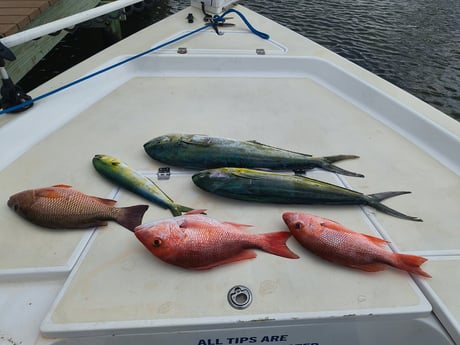 Fishing in Callaway, Florida