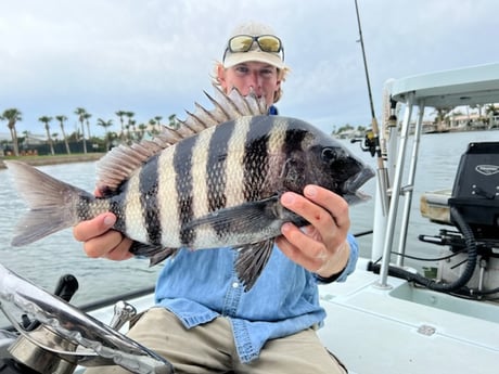 Sheepshead Fishing in Oak Hill, Florida