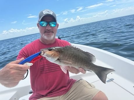 Fishing in St. Petersburg, Florida