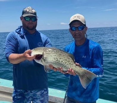 Gag Grouper Fishing in Holmes Beach, Florida