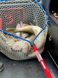 Fishing in Vermilion, Ohio