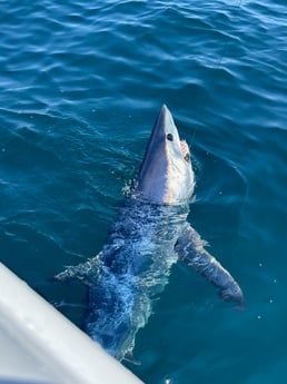 Fishing in Barnegat Light, New Jersey