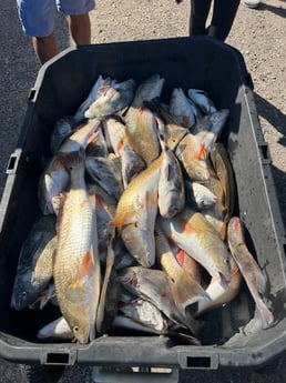 Fishing in Rockport, Texas