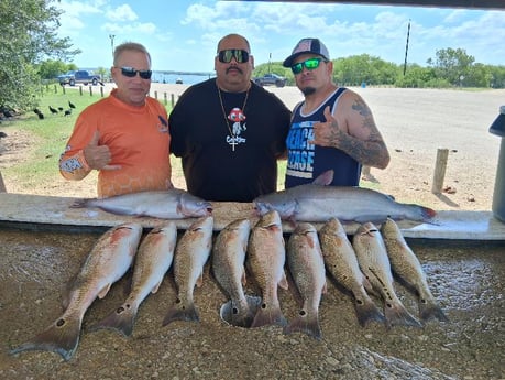 Blue Catfish, Redfish Fishing in