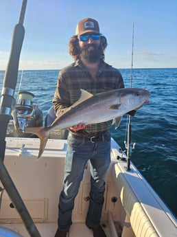 Yellowtail Amberjack Fishing in Clearwater, Florida