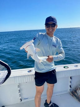 Bonnethead Shark Fishing in Pensacola, Florida
