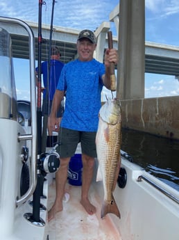 Redfish Fishing in Pensacola, Florida