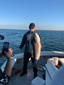 Striped Bass fishing in Montauk, New York