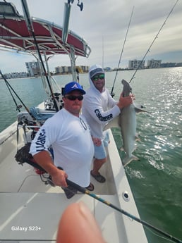 Fishing in Indian Rocks Beach, Florida
