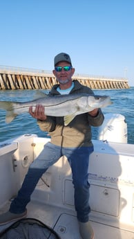 Fishing in Sebastian, Florida