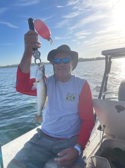 Speckled Trout Fishing in Sarasota, Florida