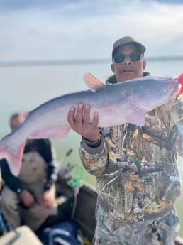 Blue Catfish Fishing in Dallas, Texas